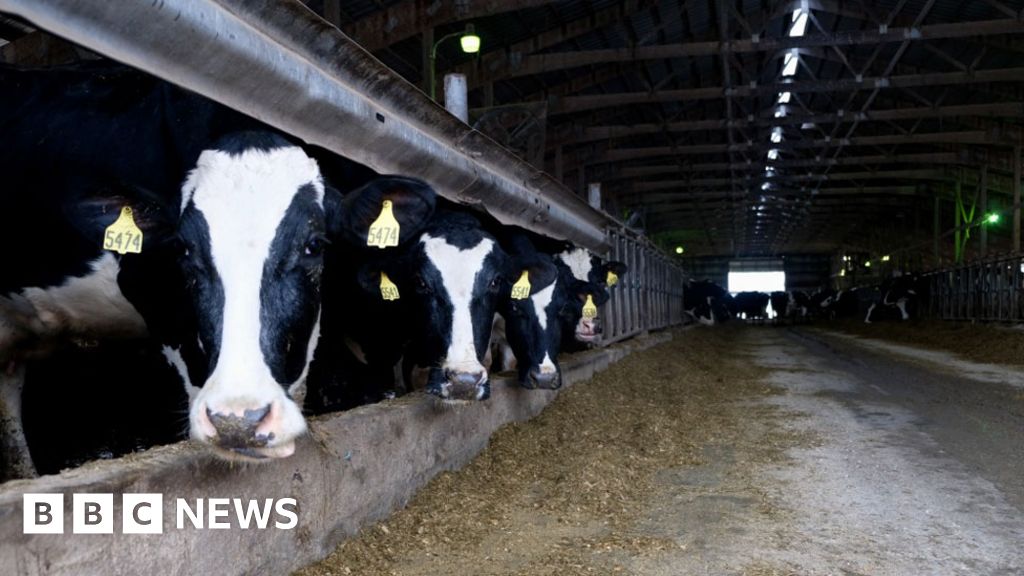 US ranchers oppose Trump's plan to import more Argentine beef