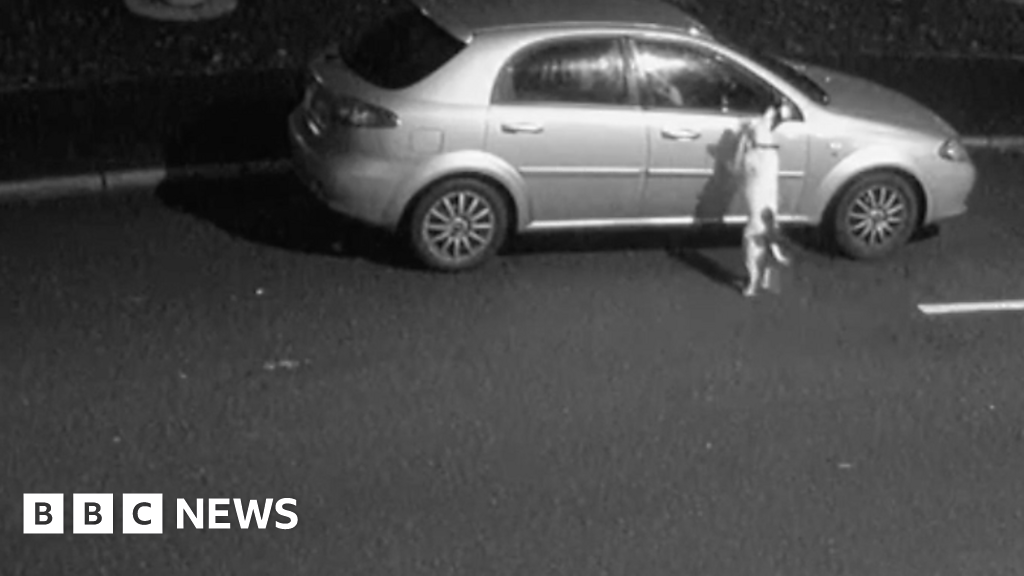 Heartbreaking Cctv Shows Dog Abandoned At Roadside Bbc News