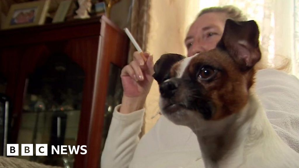 Warning over dangers of smoking around pets BBC News