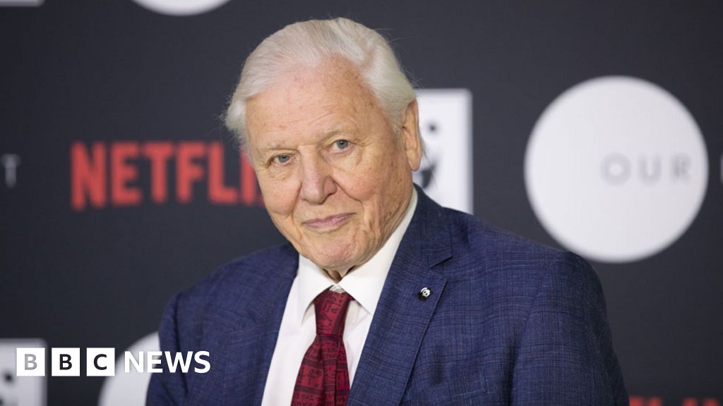 Sir David Attenborough lends voice to Netflix’s Our Planet sequence