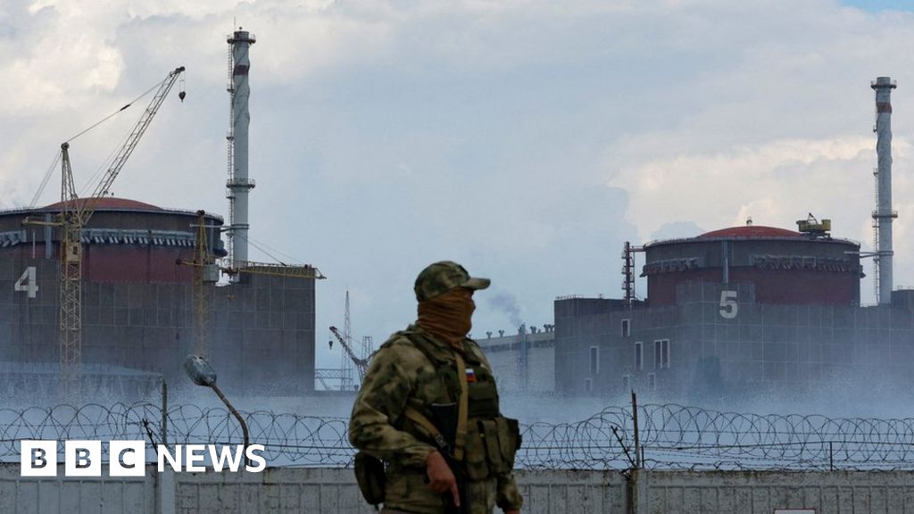 Ukraine war: Russia to allow inspectors at Zaporizhzhia nuclear plant – Putin – BBC