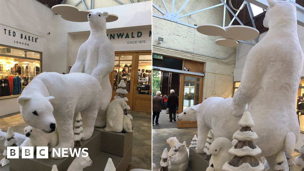 Polar Bear Display Stuns Isle Of Man Shoppers Bbc News 