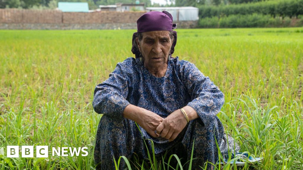 काश्मीरच्या उन्हाळ्यात लोक आणि शेतात जास्त त्रास होत आहे