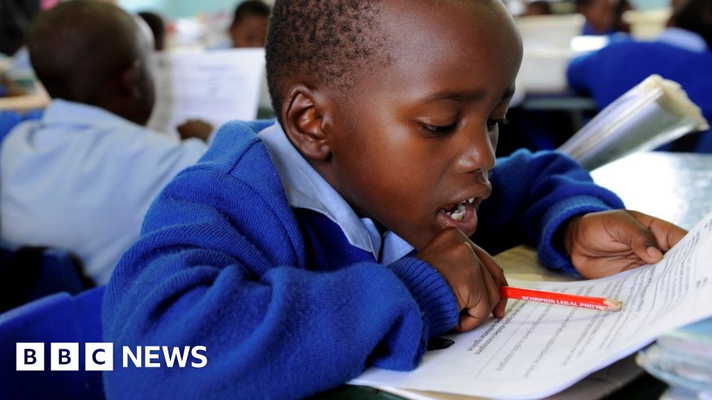 Парламентът на Южна Африка прие важен законопроект за образованието според