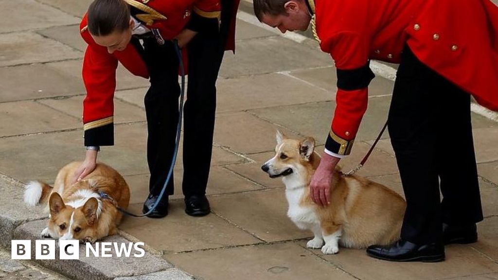Queen’s corgis and pony wait at Windsor Castle as coffin approaches