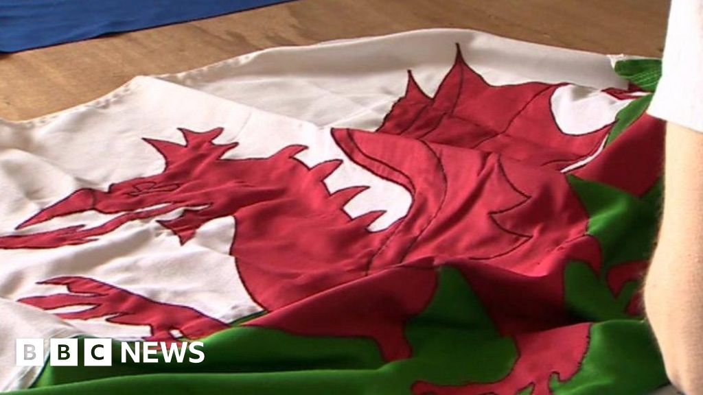 Red Dragon Flags 'excited' about Brexit opportunities BBC News