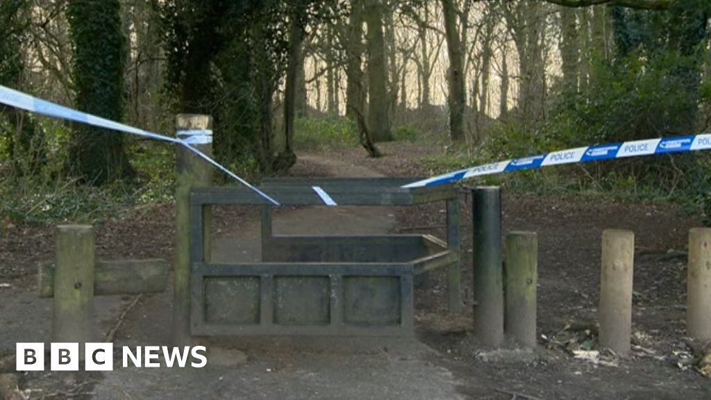 Attempted murder arrests over Solihull stabbings - BBC News