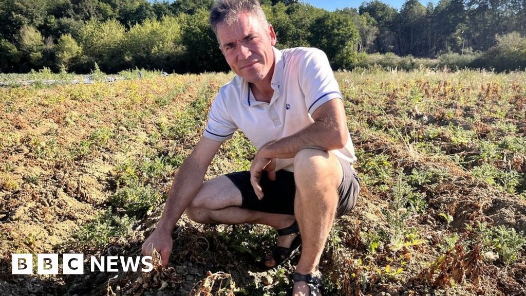 Loire Valley: Intense European heatwave parches France’s ‘garden’