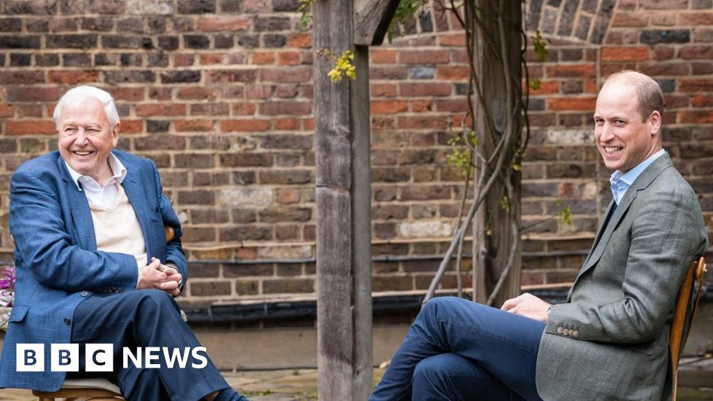 Prince William and Sir David Attenborough join forces on 'Earthshot' prize