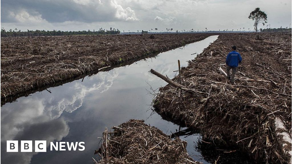 Major investor will target bosses at firms failing on climate