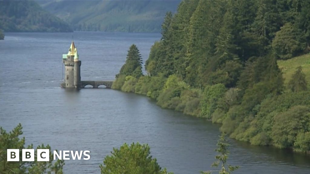 Lake Vyrnwy river plans spark flooding fears - BBC News