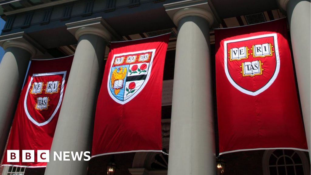 Harvard students take pledge not to cheat BBC News