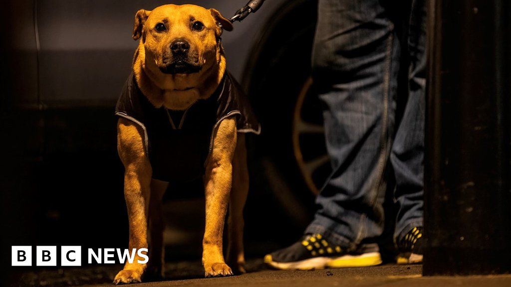Newcastle homeless and their dogs captured in poignant photographs