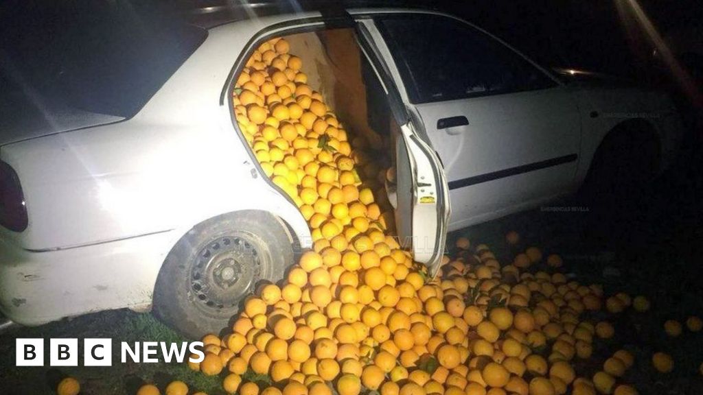 Seville orange heist: Stolen fruit spills from cars