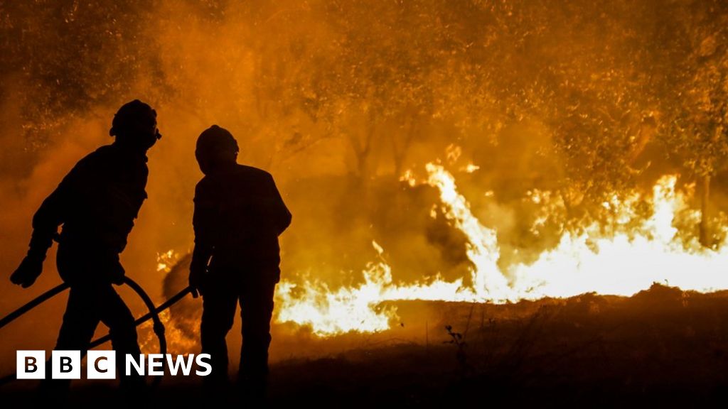 Portugal wildfires: State of alert begins amid third heatwave