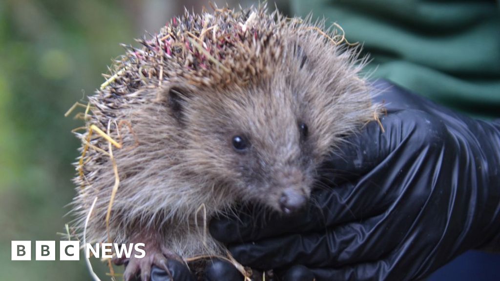 Century Old Jersey Laws 'devastating' Biodiversity