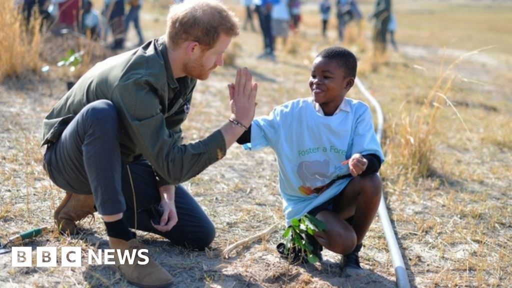 Prince Harry 'troubled' by climate change deniers - BBC News