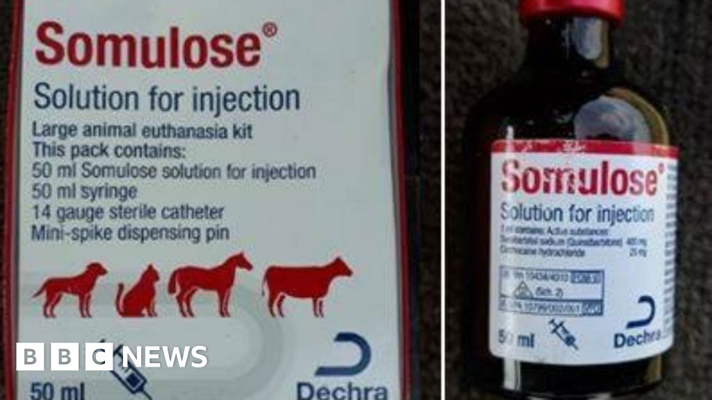 Warning over missing large animal euthanasia kit - BBC News