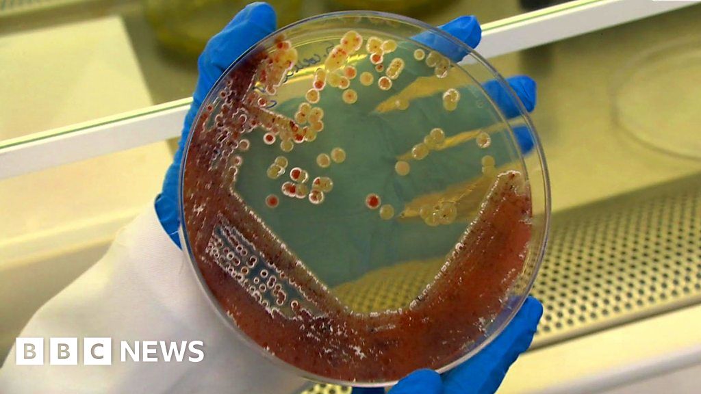 How bacteria could make fashion more eco-friendly - BBC News