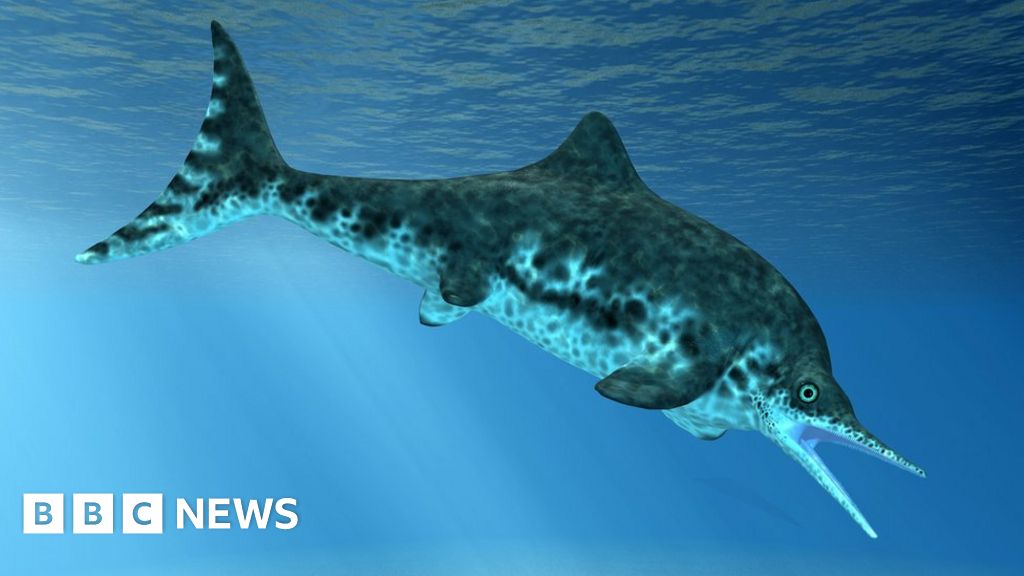 Fossil preserves 'sea monster' blubber and skin