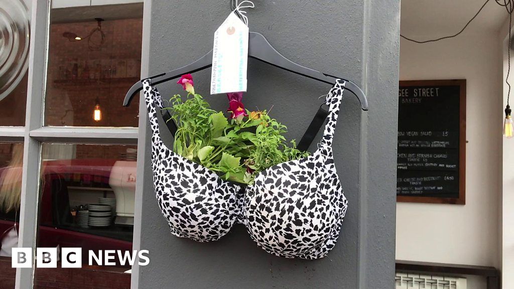 Bras turned into Northampton hanging baskets