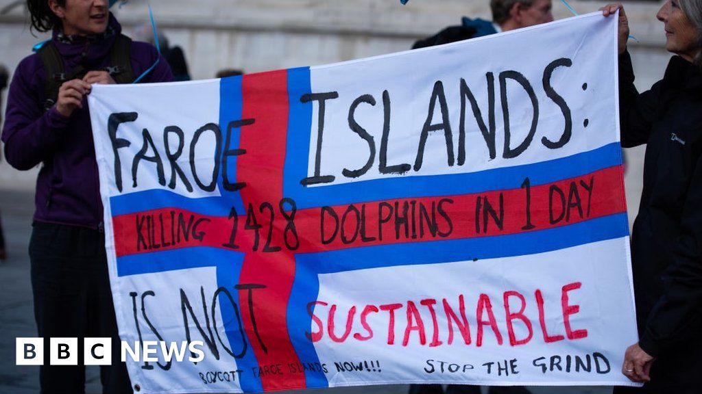 Faroe Islands to limit dolphin hunt after outcry