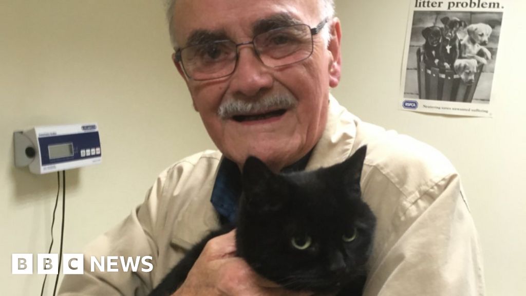 Missing cat reunited with Aberdare family after two years - BBC News