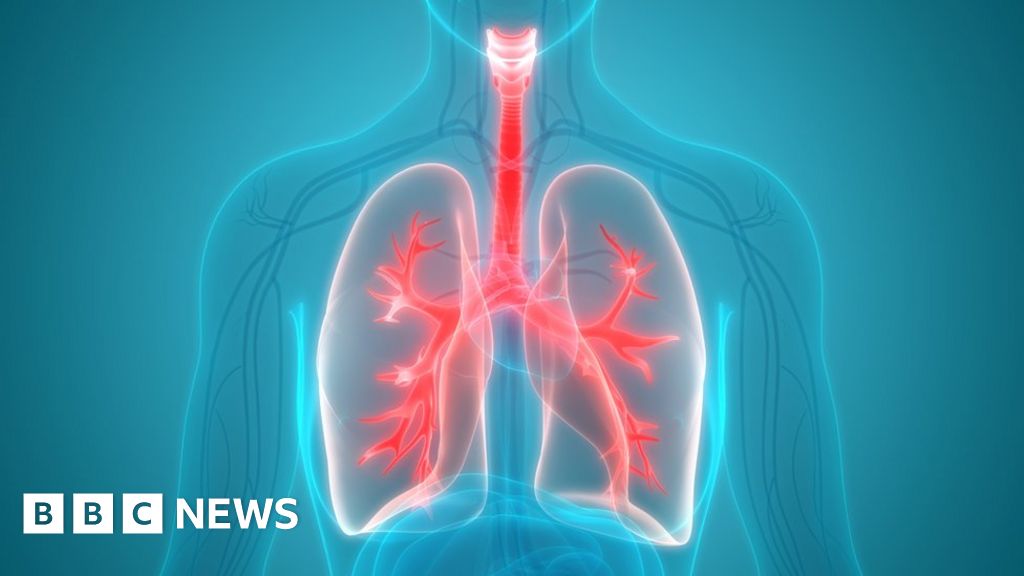 Fat found in overweight people's lungs