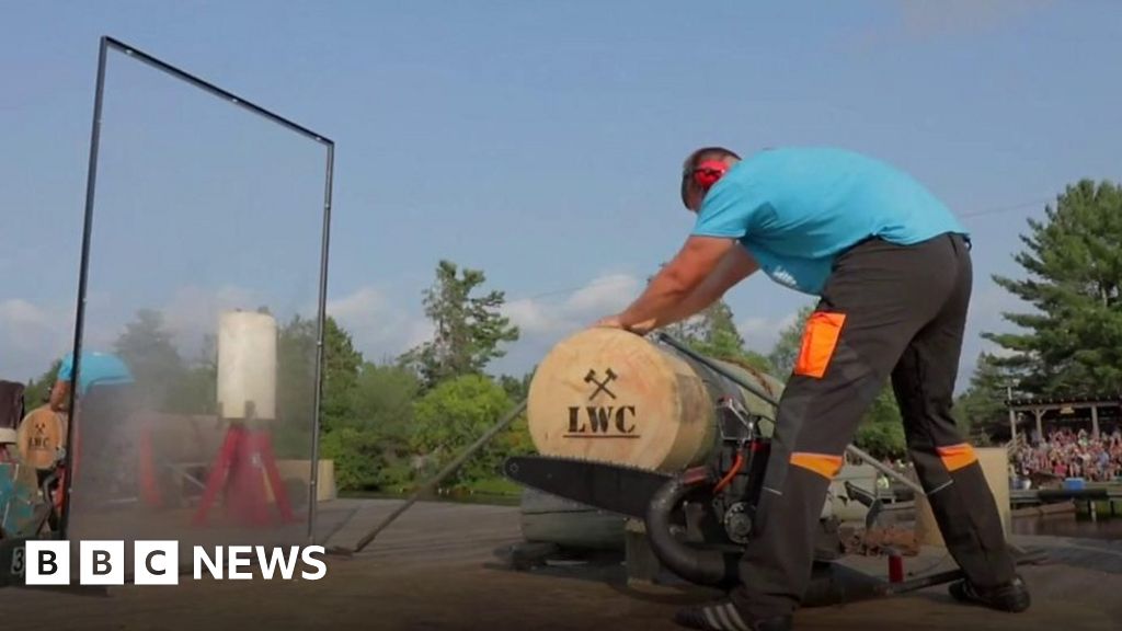 ICYMI Lumberjacks and yoga cats