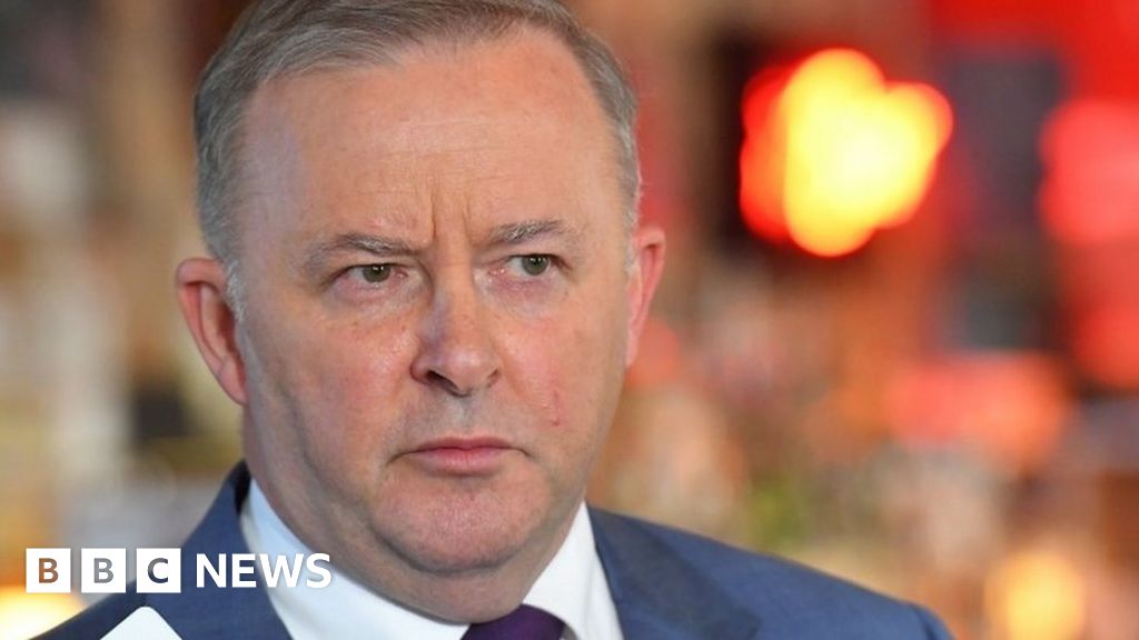 Anthony Albanese: Australia's Labor opposition elects new leader - BBC News