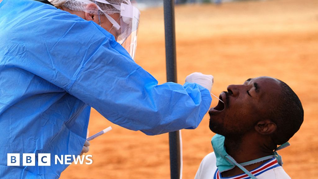 Coronavirus variant fear sparks Africa travel curbs - BBC News