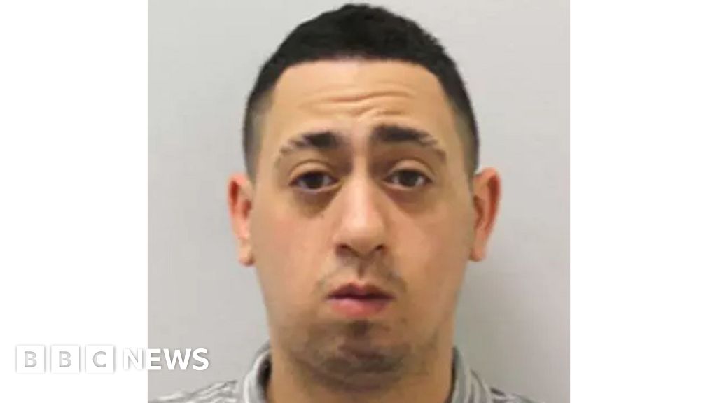 Son 'may have used meat hammer' in fatal Golders Green attack BBC News