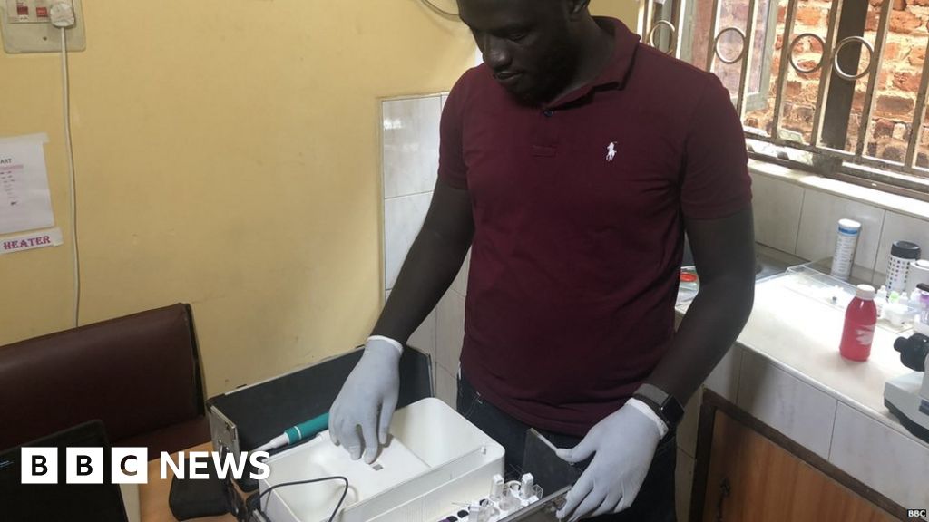 Africa’s potential 'game changer' in the fight against malaria