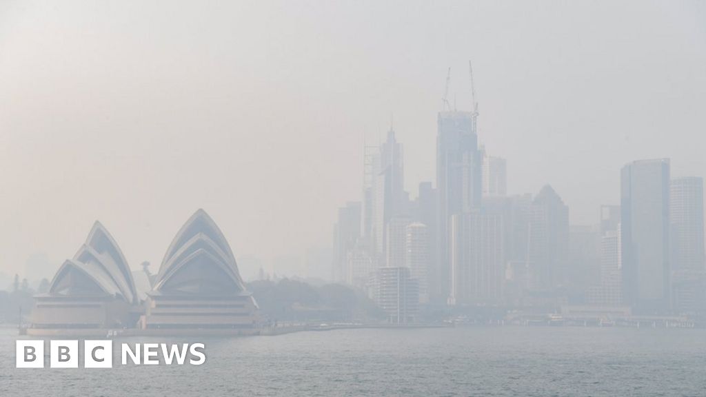 Sydney smoke: Residents 'choking' on intense bushfire pollution