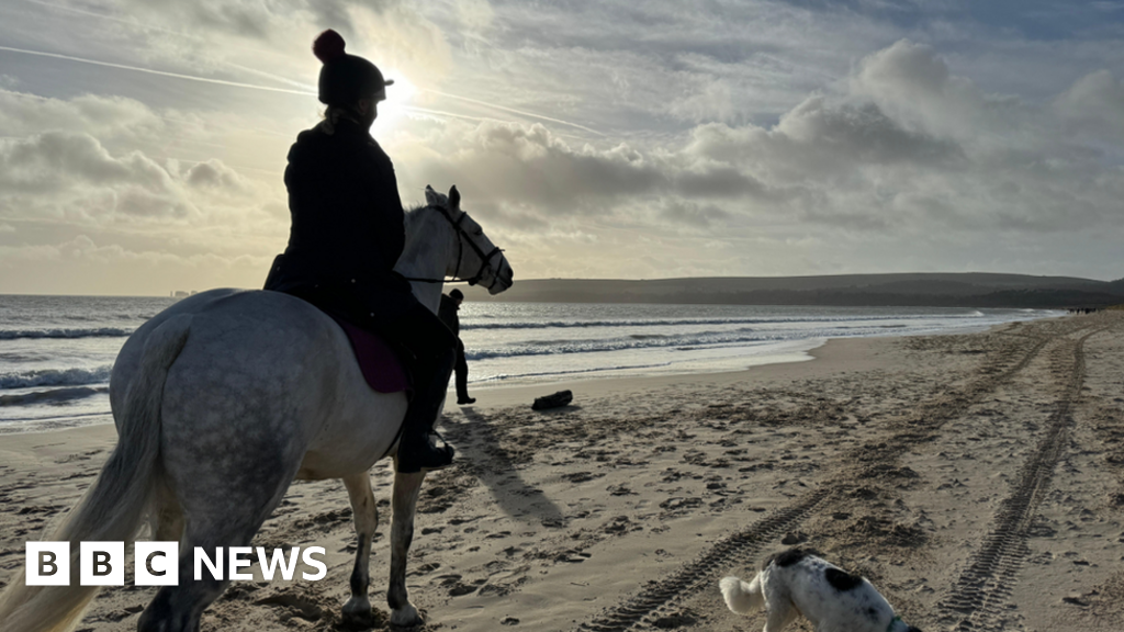 Dorset's Big Picture: 25 December - 31 December 2023 - BBC News
