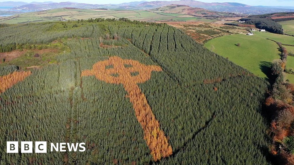 Autumn unveils Irish forester's Celtic cross