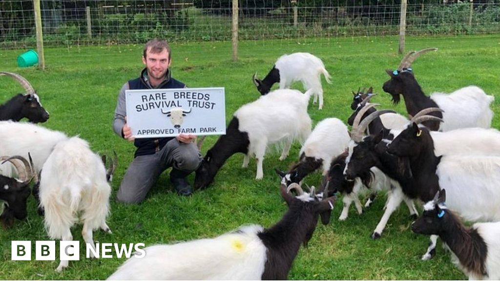 Melsop Farm Park fears closure due to licence issue 