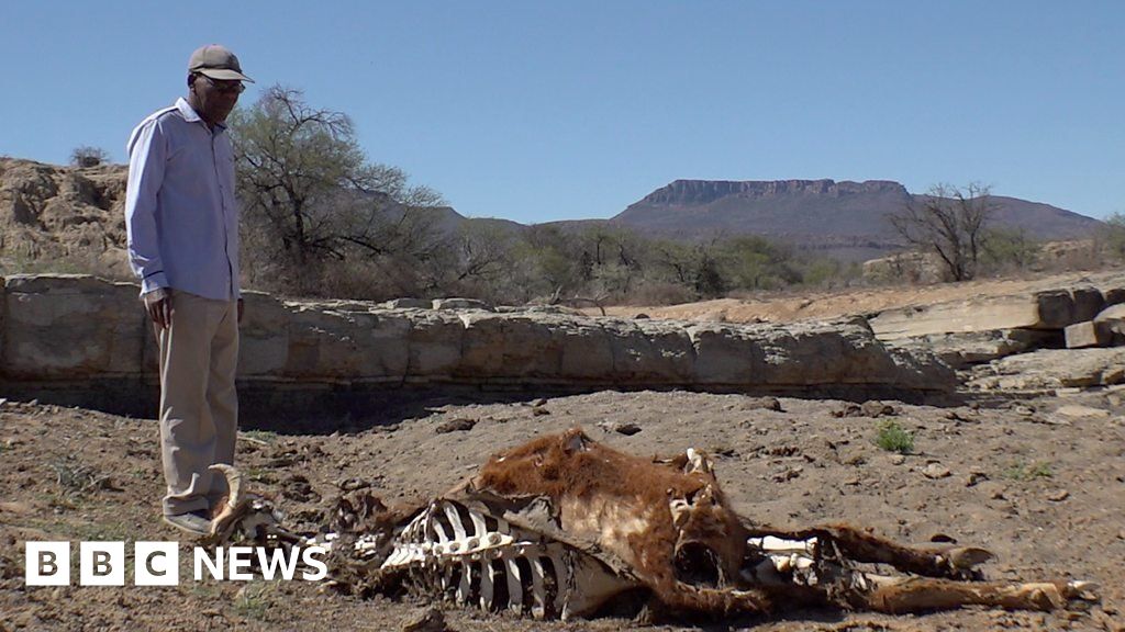 South African drought town's warning to the world BBC News