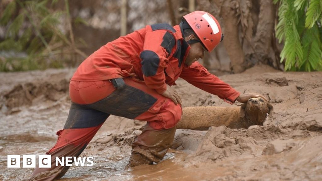 Amazing rescue. Amazing rescue
