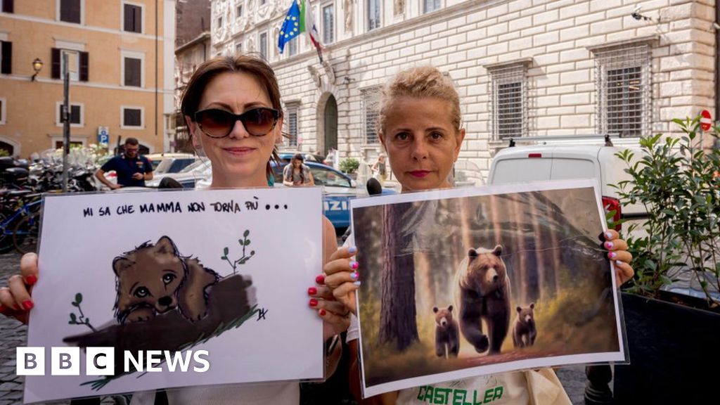 Italy bear attacks: Animals behind Alpine attacks spared slaughter