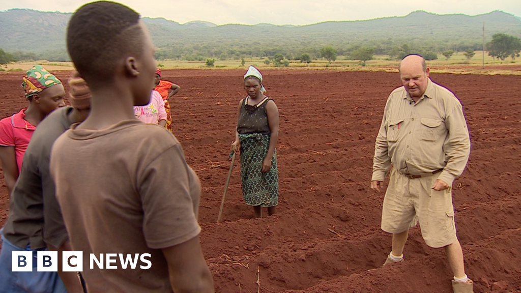 Zimbabwe's white farmers Who will pay compensation? BBC News