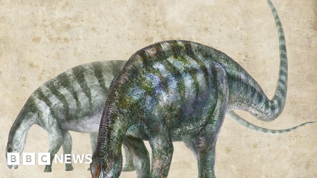 China fossil tells new supercontinent story
