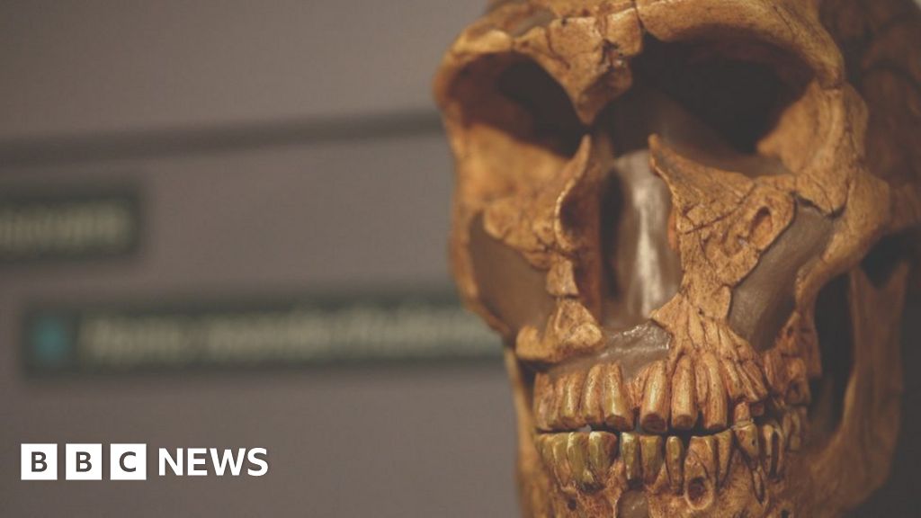 Nobel Prize for Neanderthal work goes to Svante Pabo