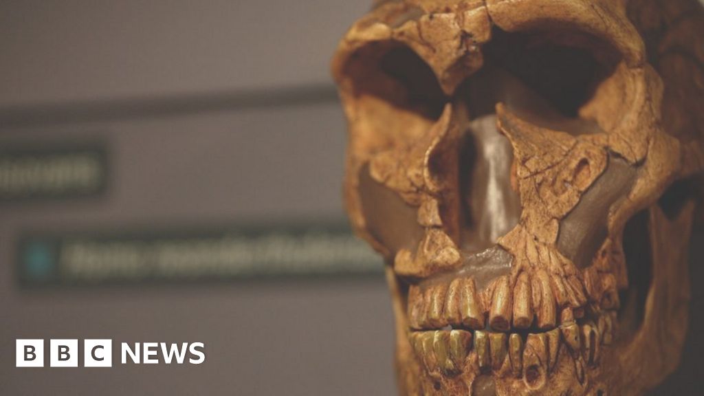 Nobel Prize goes to Neanderthal DNA research
