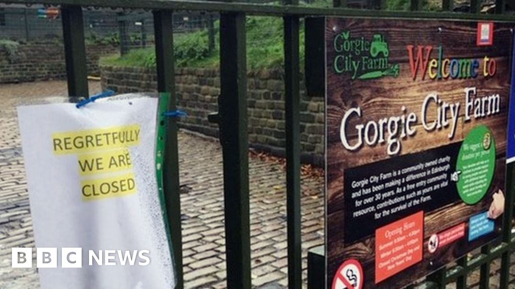 Gorgie City Farm: 'Credible' charities line up to take over