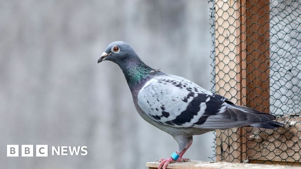 Working-class heritage schemes funded