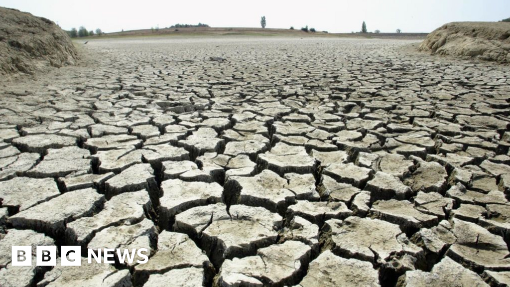 Climate Week: World split on urgency of tackling rising temperatures, poll suggests