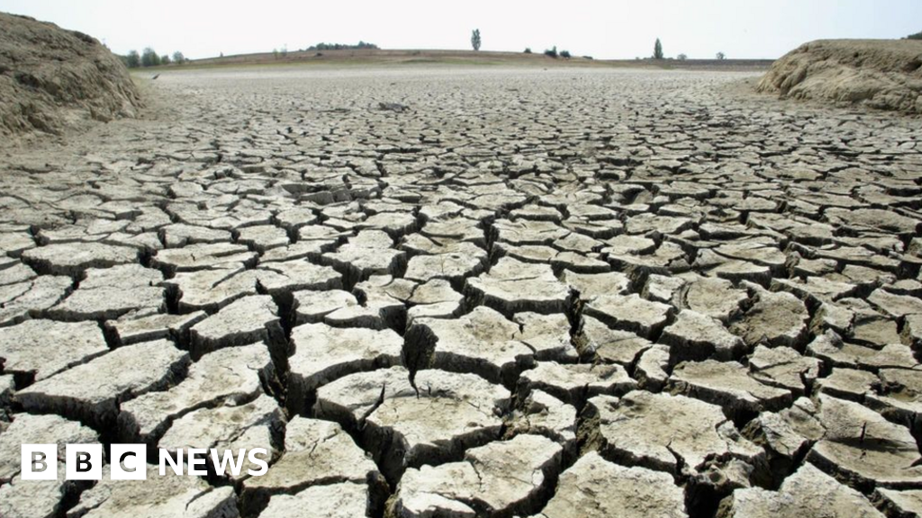 Climate Week: World split on urgency of tackling rising temperatures, poll suggests - BBC News