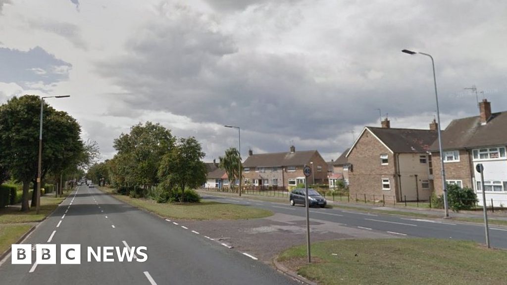 Cat 'thrown in front of car' in Hull, prompting RSPCA inquiry BBC News