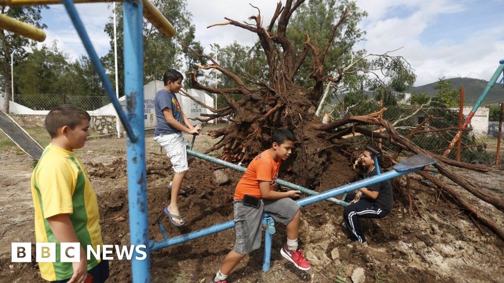 Storm Patricia Weakens Over Mexico But Risks Remain - BBC News